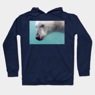 Head of Polar bear under water Hoodie